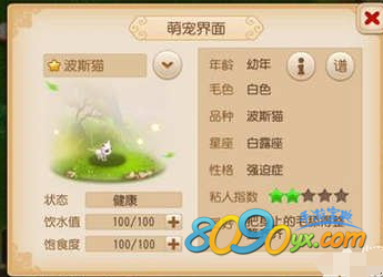 梦幻西游手游波斯猫\/牛头梗\/波兰兔怎样获得 好