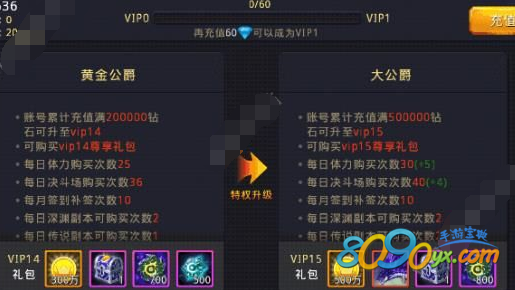 ֮vip