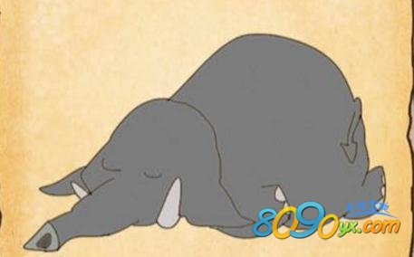 最囧游戏3怎么叫醒大象 第九关怎么过-8090手